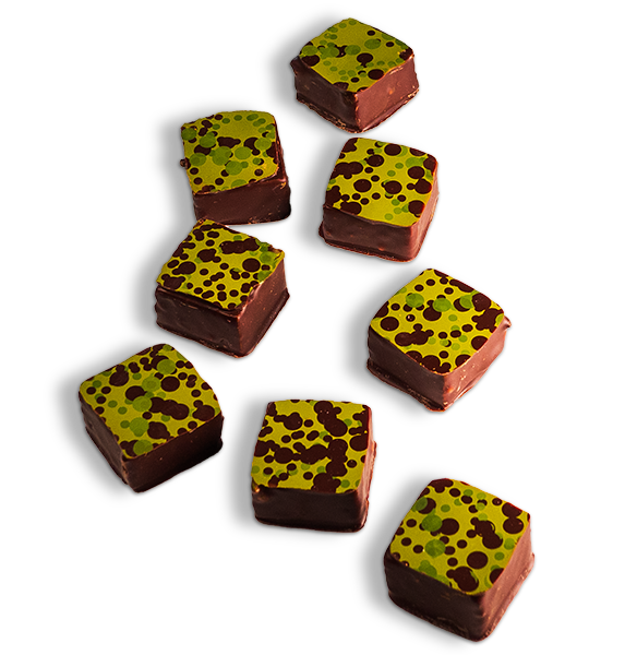 Handgefertigte Pralinen – Kürbiskern Pavé – Clement Chococult Handgefertigte Pralinen – Kürbiskern Pavé – Clement Chococult